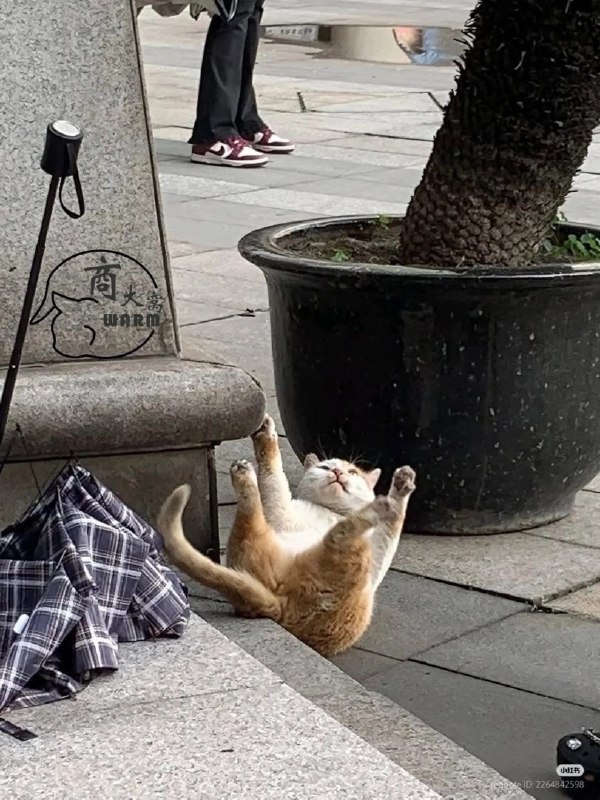 未命名