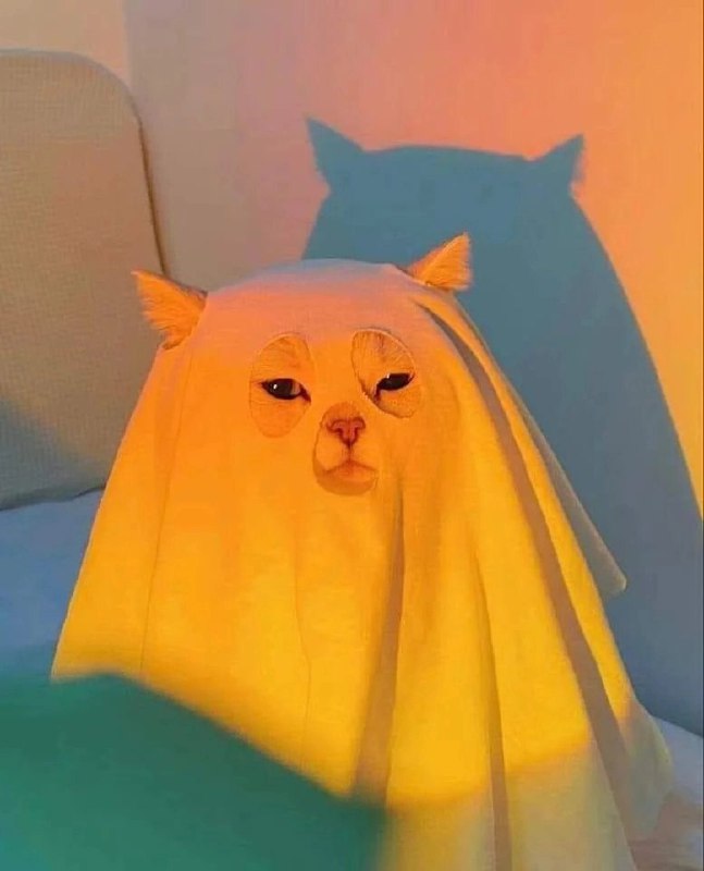 未命名