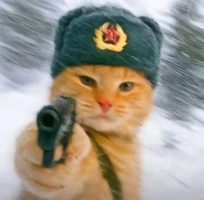 未命名