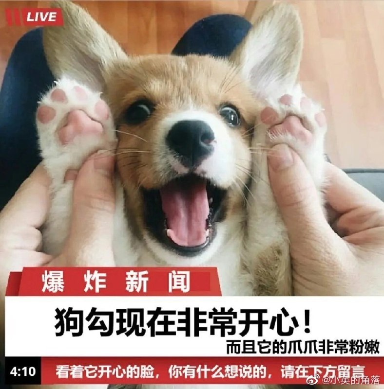 未命名