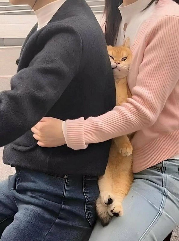 未命名