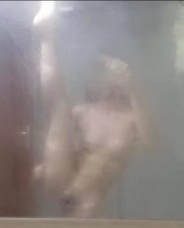 在朦胧的镜面之后，她与自己的倒影低语，水汽缭绕间，每一颗水滴都承载着一段未诉的故事